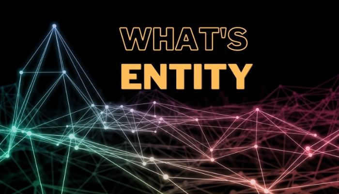 Entity là gì?