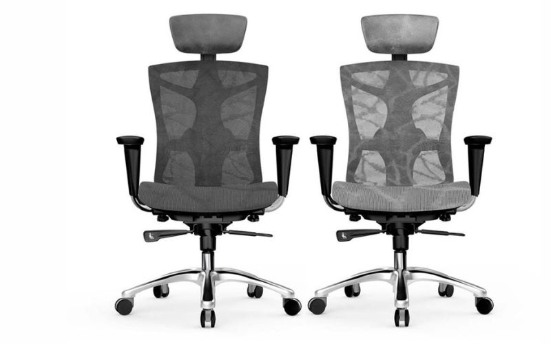 nên chọn ghế công thái học nào tốt