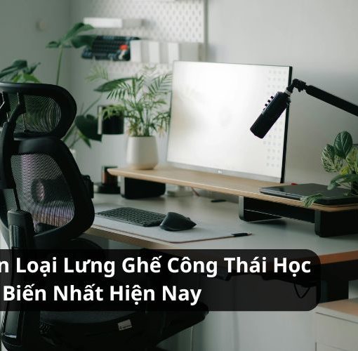 phân loại lưng ghế công thái học