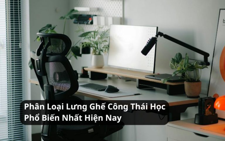phân loại lưng ghế công thái học